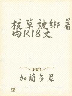 校草被绑着玩纯肉R18文