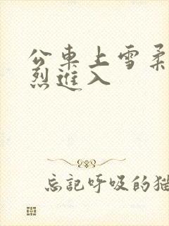 公车上雪柔被猛烈进入