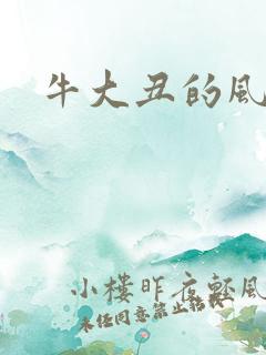 牛大丑的风流记