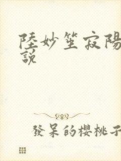 陆妙笙寂阳朔小说