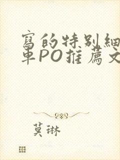 写的特别细的开车PO推荐文