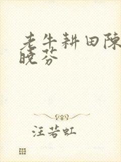 老牛耕田陈雪杨晓芬