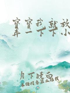 宝宝我就放进去弄一下下小说