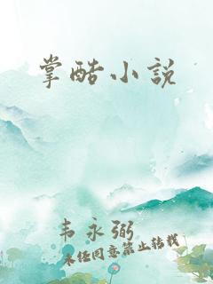 掌酷小说