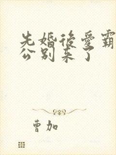 先婚后爱霸道老公别来了