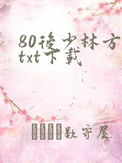 80后少林方丈txt下载