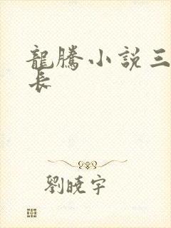龙腾小说三宝局长