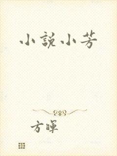 小说小芳