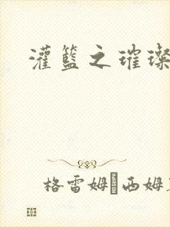 灌篮之璀璨生涯