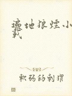 遍地狼烟小说下载