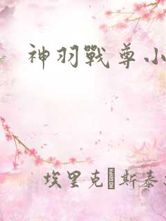 神羽战尊小说
