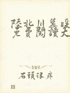 陆北川慕暖全文免费阅读大结局