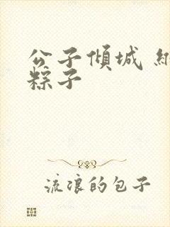 公子倾城 维和粽子