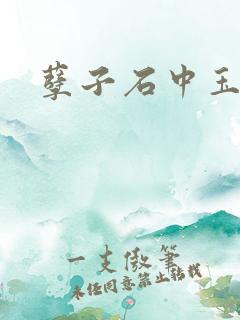 孽子石中玉