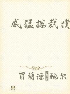 威猛总裁扑娇妻