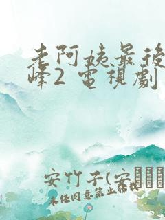 老阿姨最后的巅峰2 电视剧