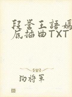 段誉王语嫣在井底插曲TXT