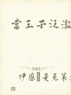 当王子泛滥之时