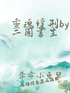 灵魂缓刑by 二团书生