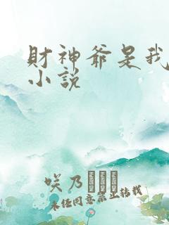 财神爷是我老板小说