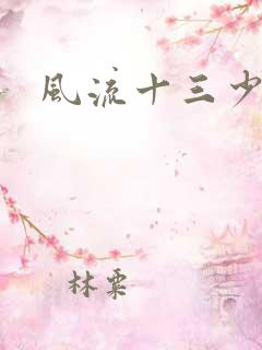 风流十三少