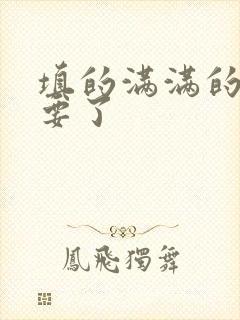 填的满满的 不要了