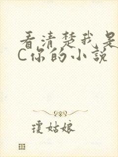 看清楚我是怎么C你的小说