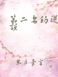 第二名的逆袭小说