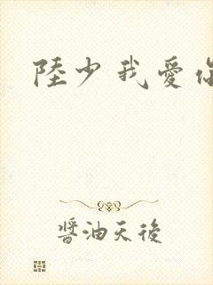 陆少 我爱你