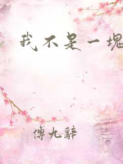 我不是一块石头