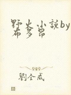 野火小说by夏布多昂