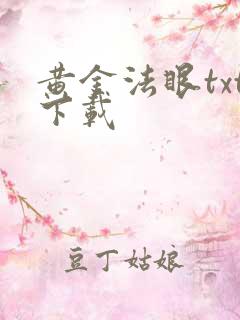 黄金法眼txt下载