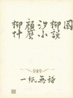柳颜汐柳国安是什么小说