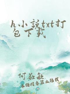 h小说txt打包下载