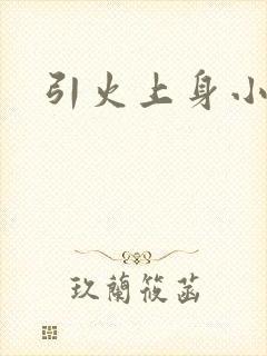 引火上身小说