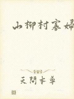山柳村寡妇情史