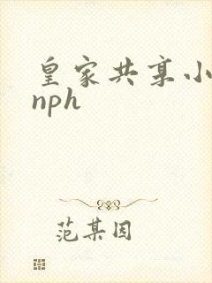 皇家共享小公主nph