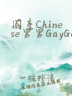 国产Chinese男男GayGayAPP