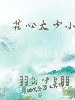 花心大少小说