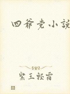 四爷党小说