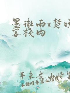 墨微雨x楚晚宁客栈肉