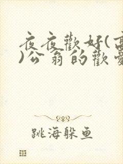 夜夜欢好(高h)公翁的欢爱