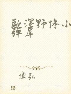 欧泽野佟小曼无弹屏