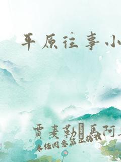 平原往事小说