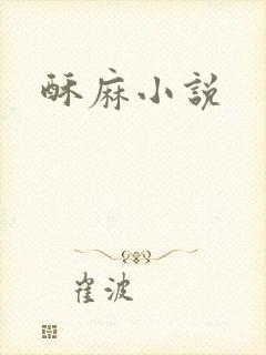 酥麻小说