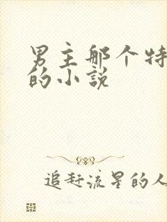 男主那个特别大的小说