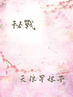 秘战
