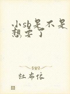 小sb是不是又想要了