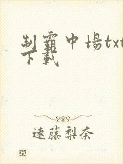 制霸中场txt下载