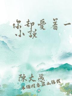 你却爱着一个他 小说